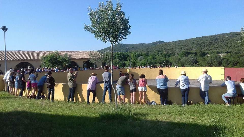 Chambres D'Hotes Au Mas Du Sire Quissac Kültér fotó